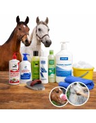 Champús y Baño para Caballos | Cuidado e Higiene Equina | Animaldream.es