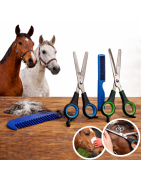 Tijeras crines caballos