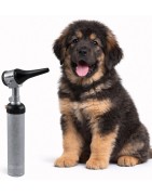 Material veterinario