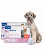 Dermatologia Perros